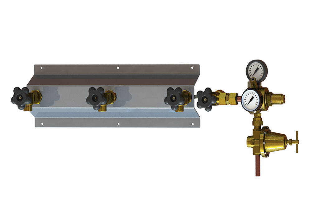 Manifold Económico